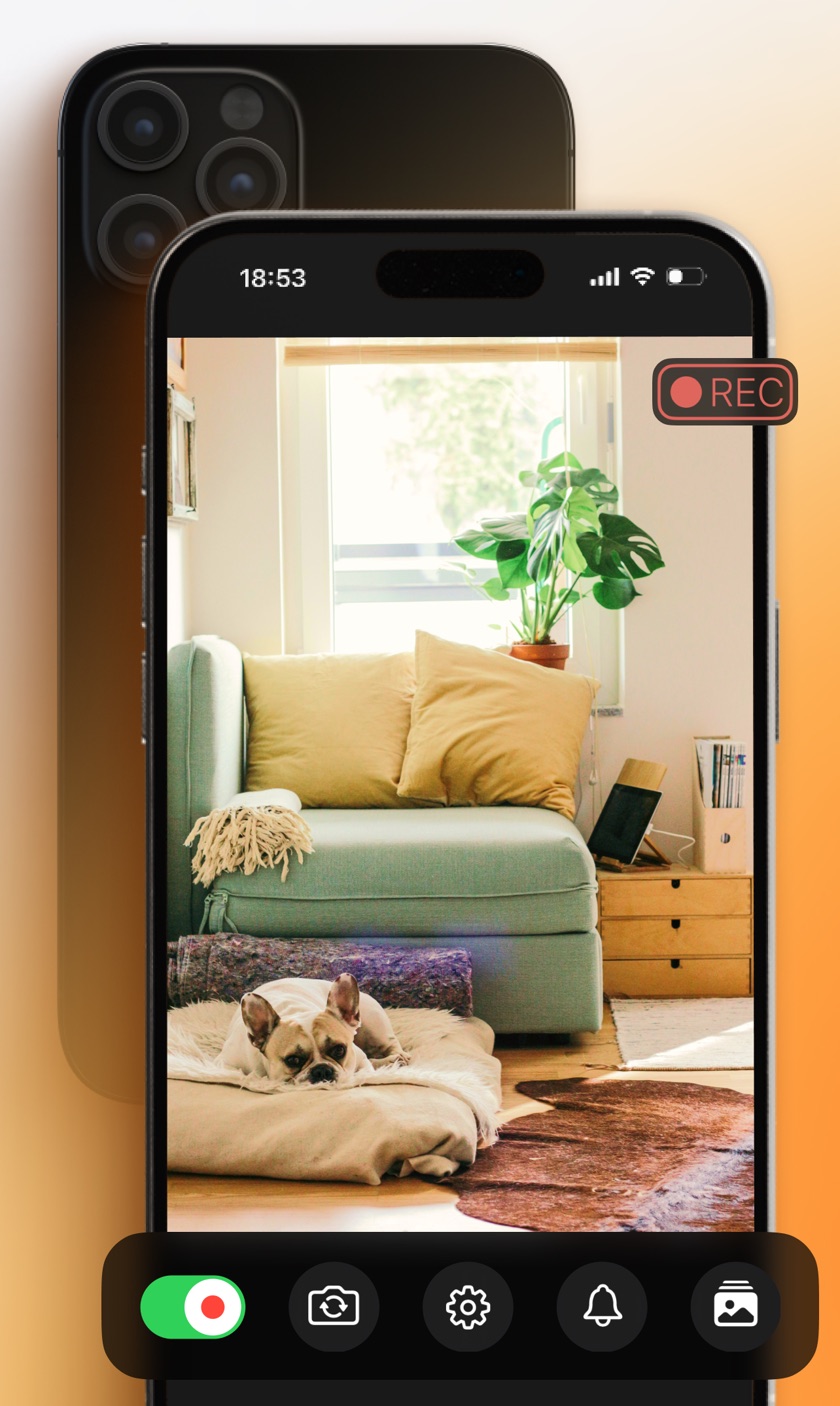 iPhone recording a living room in Watchful, with a dog visible in the viewfinder